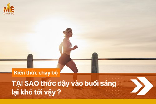 Tại Sao Thức Dậy Chạy Bộ Vào Buổi Sáng Lại Khó Đến Vậy?